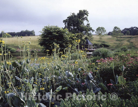 Virginia Photo - Garden in Rural Virginia