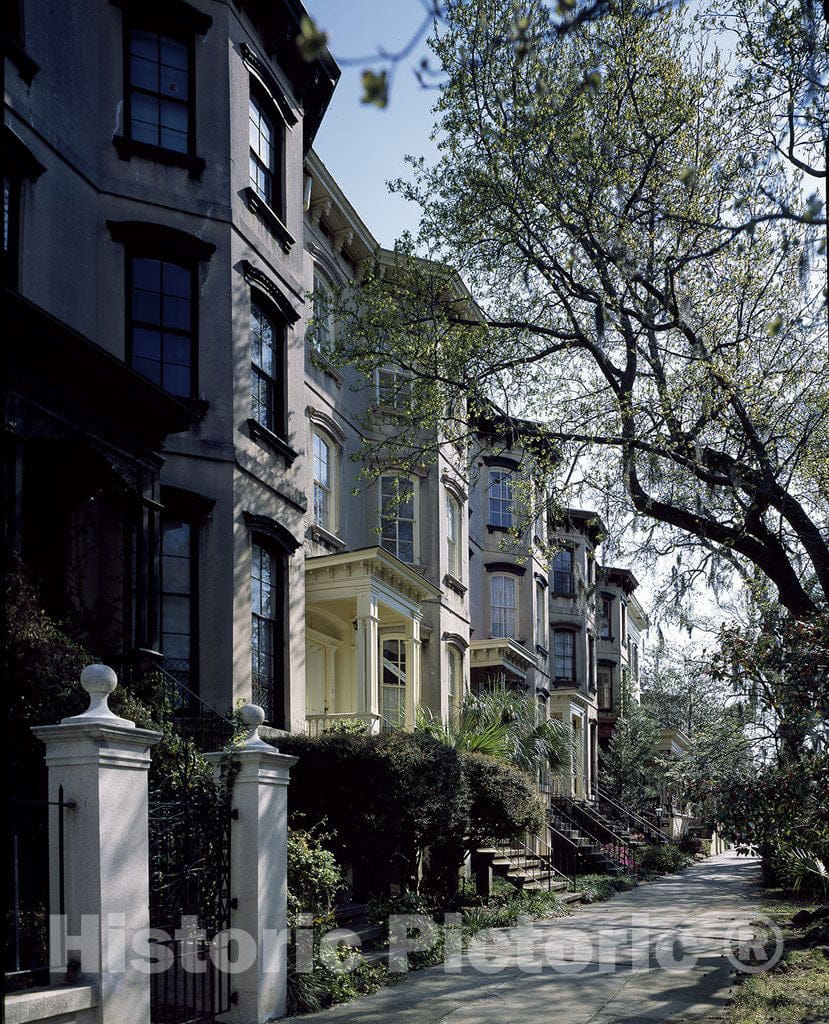 Savannah, GA Photo - Neighborhood View of Savannah, Georgia