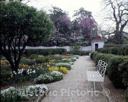 Mount Vernon, VA Photo - Gardens at George Washington's Estate, Mount Vernon, Virginia