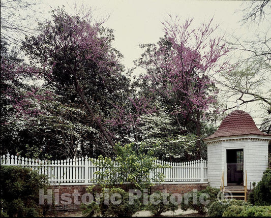 Mount Vernon, VA Photo - Garden at George Washington's Estate, Mount Vernon in Virginia