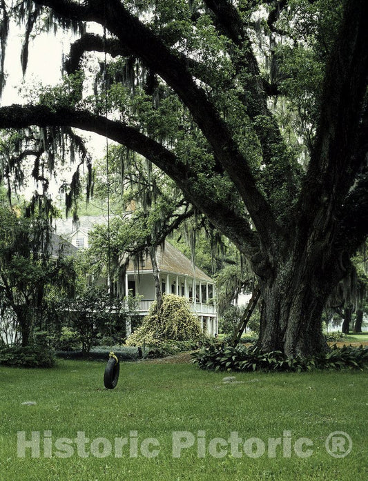 New Roads, LA Photo - Parlange Plantation, New Roads, Louisiana