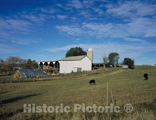 Waynesboro, VA Photo - Dairy barn Near Waynesboro, Virginia