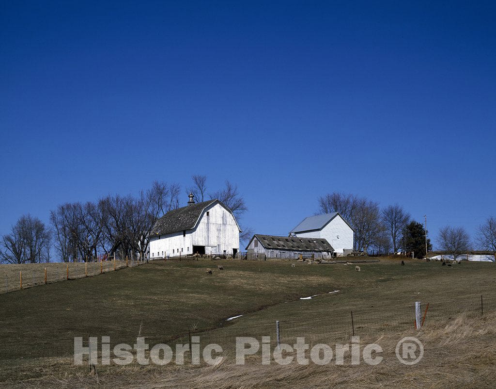Oxford, IA Photo - Sheep Farm and barn west of Oxford, Iowa