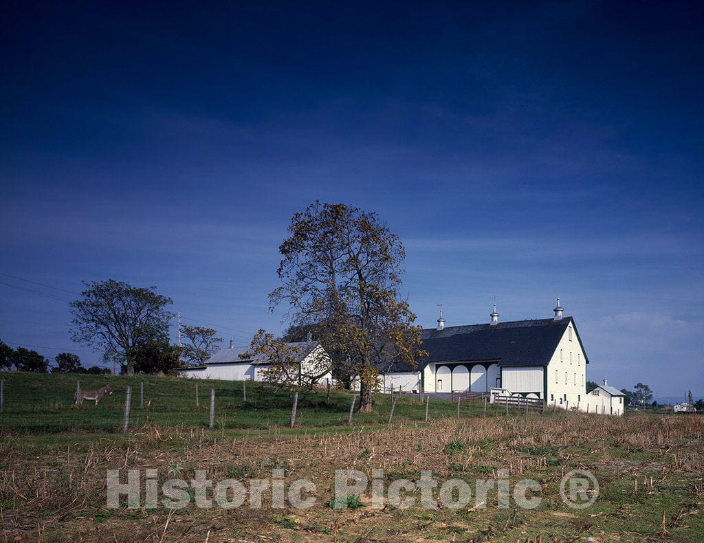 Photo - Farm Building Cluster Near Shady Grove, Pennsylvania- Fine Art Photo Reporduction
