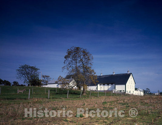 Photo - Farm Building Cluster Near Shady Grove, Pennsylvania- Fine Art Photo Reporduction