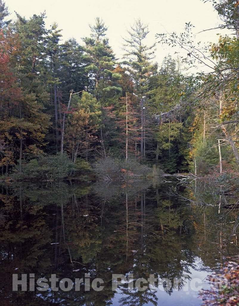 Photo- A Serene Pond Beckons Visitors and Hikers on The Appalachian Trail, to Pennsylvania's Caledonia State Park in The northernmost Section of The Blue Ridge Mountains