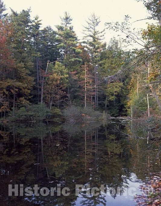 Photo- A Serene Pond Beckons Visitors and Hikers on The Appalachian Trail, to Pennsylvania's Caledonia State Park in The northernmost Section of The Blue Ridge Mountains