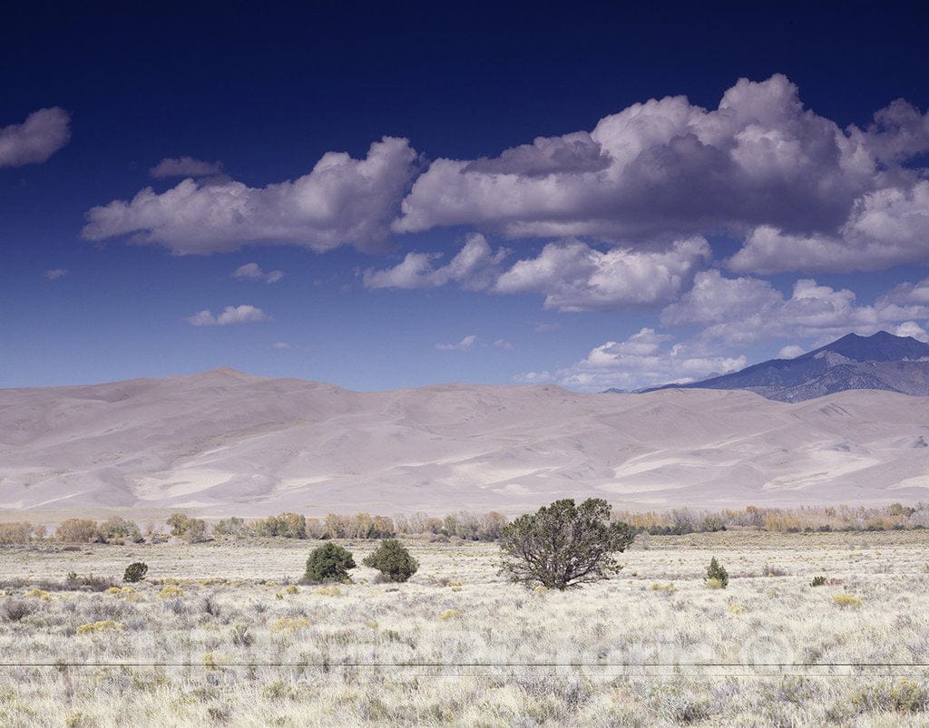 Great Sand Dunes, CO Photo - Great Sand Dunes National Monument at The Foot of The Sangre de Cristo Mountains in Southwest Colorado
