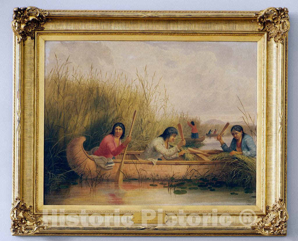 Photo - Art Rice Gatherers in The U.S. Capitol, Washington, D.C.- Fine Art Photo Reporduction