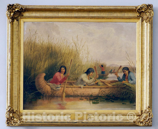 Photo - Art Rice Gatherers in The U.S. Capitol, Washington, D.C.- Fine Art Photo Reporduction