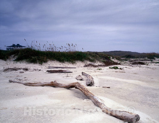 Photo - Driftwood on Beach at Padre Island, Texas- Fine Art Photo Reporduction