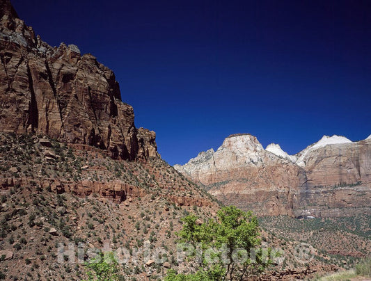 Zion National Park, UT Photo - Multicolored Cliffs of Zion National Park, Utah