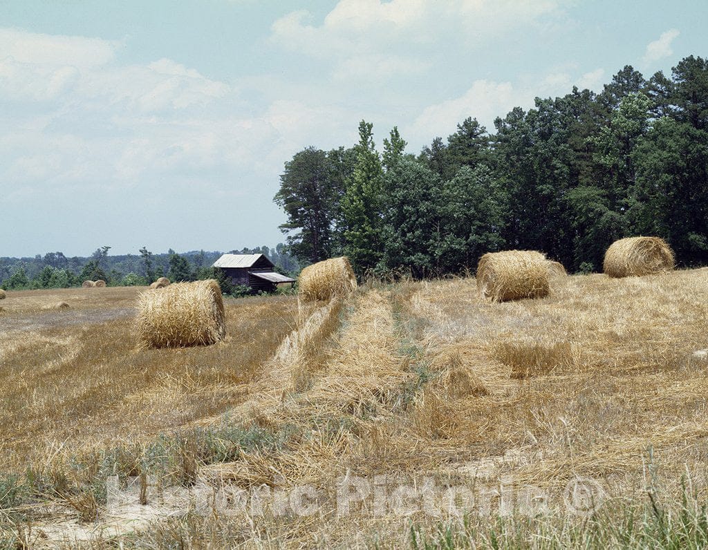 Virginia Photo - Rolls of hay dot the landscape of rural Virginia