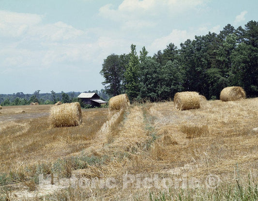Virginia Photo - Rolls of hay dot the landscape of rural Virginia