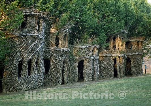 New Harmony, IN Photo - Vines are prominent in this onetime utopian village, New Harmony, Indiana
