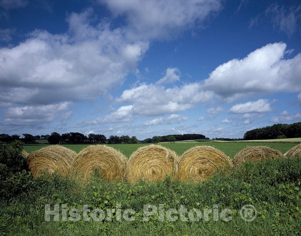 Iowa Photo - Iowa hay Rolls
