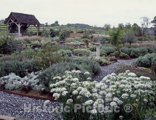 Raphine, VA Photo - Herbal Garden in Raphine, Virginia