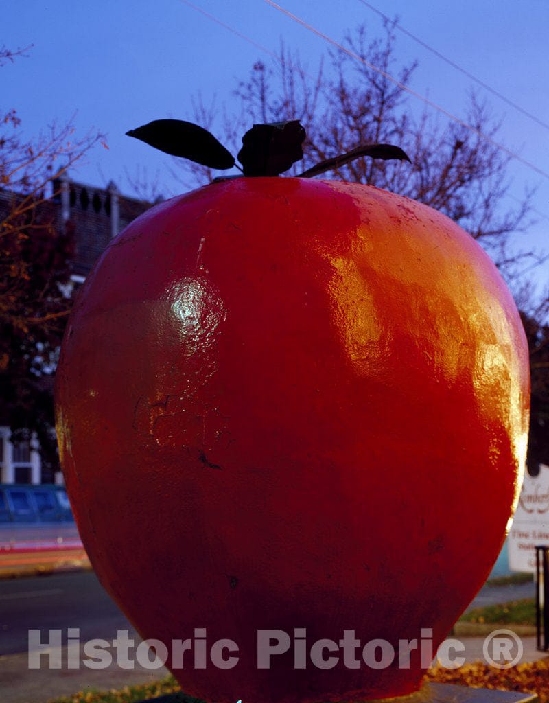 Winchester, VA Photo - A Large Apple Represents The Town Symbol, Winchester, Virginia