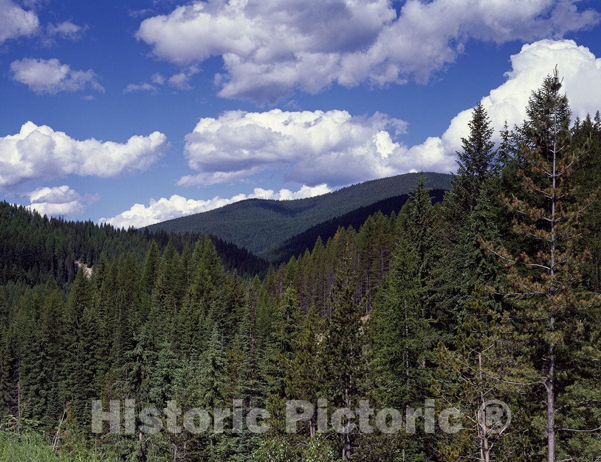 Washington (State) Photo - High in The Cascade Mountains, Washington