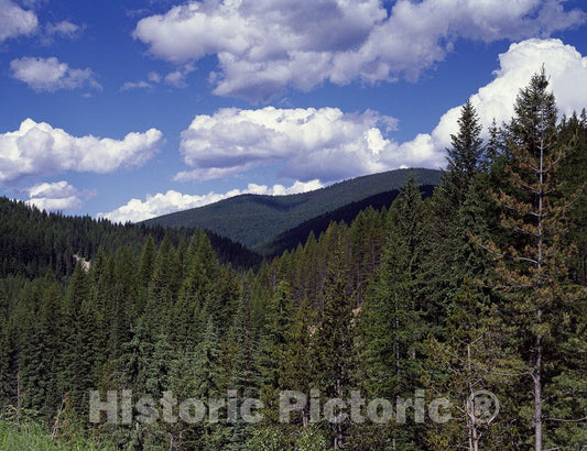 Washington (State) Photo - High in The Cascade Mountains, Washington