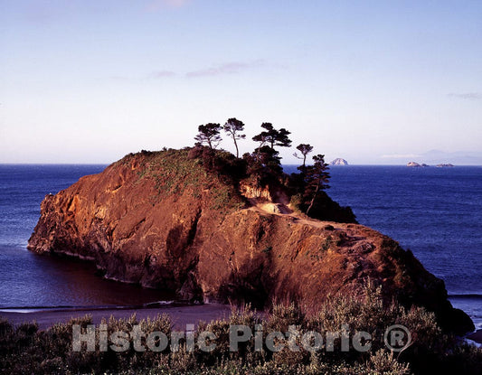 Carmel, CA Photo - Cypress Trees on a Small Island on The Pacific Coast-