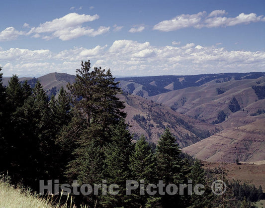 Rocky Mountain View, Colorado Photo
