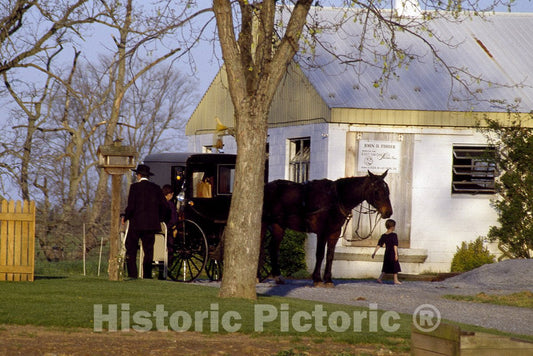 Lancaster, PA Photo - Amish Horse, Buggy, and Family at a Small Home in Pennsylvania-