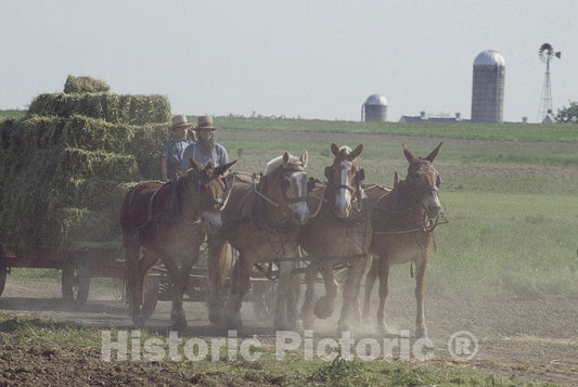 Lancaster, PA Photo - Amish Life in Lancaster, Pennsylvania