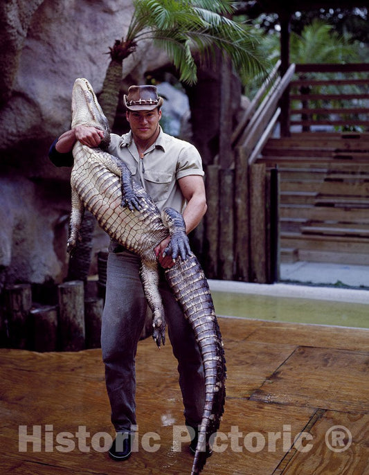 Saint Petersburg, FL Photo - Alligator Wrestler in Action at Sunken Gardens, St. Petersburg, Florida