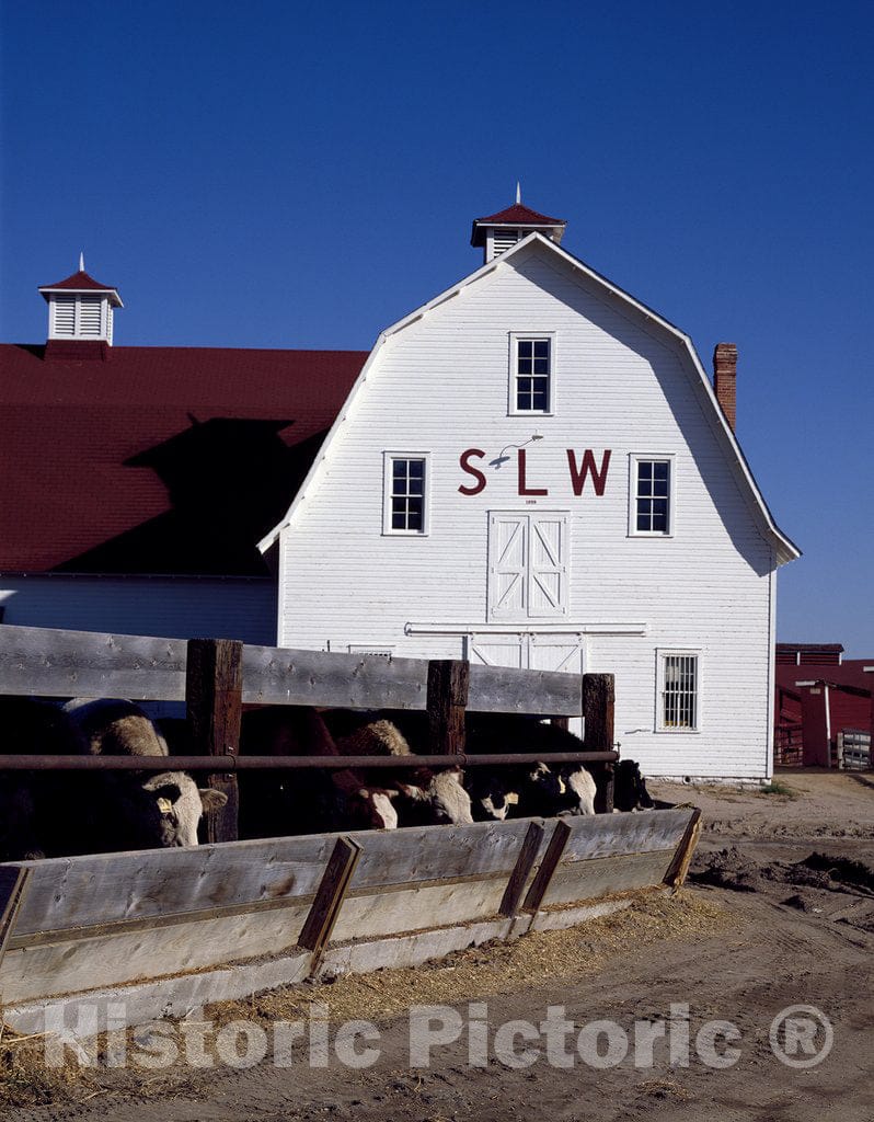 Greeley, CO Photo - SLW Cattle Ranch barn, Greeley, Colorado