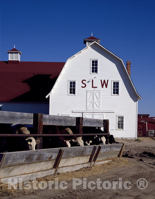 Greeley, CO Photo - SLW Cattle Ranch barn, Greeley, Colorado