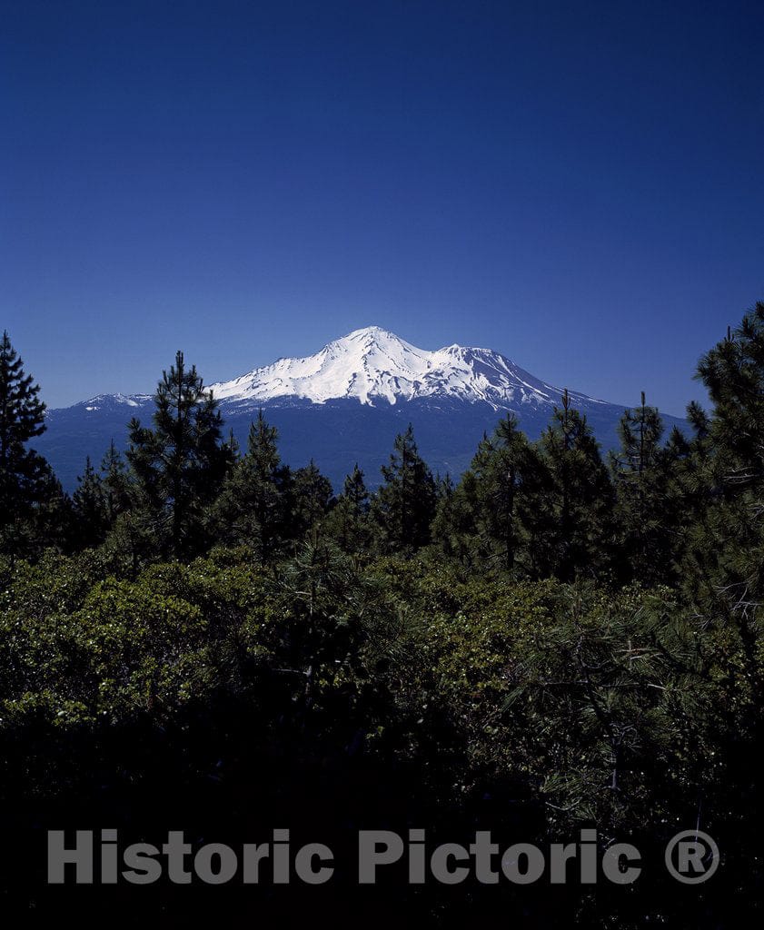 Mount Shasta, CA Photo - Mount Shasta, at 14,162 feet The Highest Peak in The California Cascades