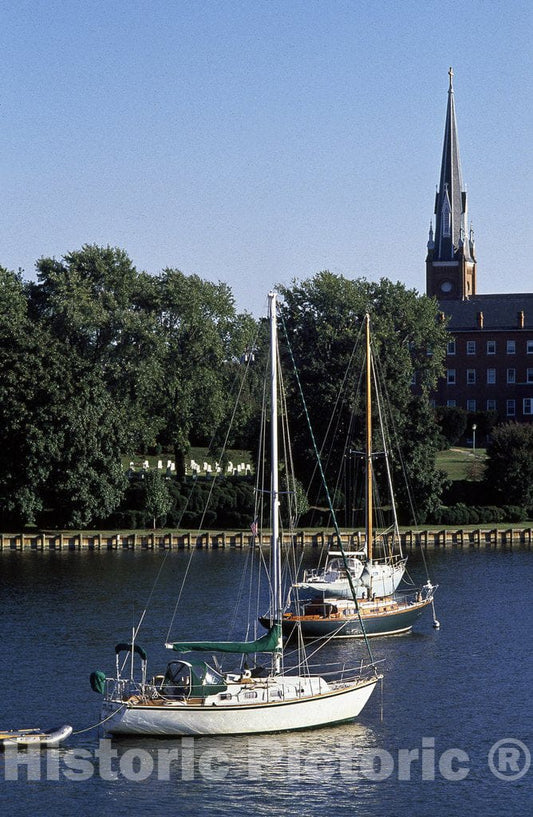 Annapolis, MD Photo - Sailboats on Spa Creek, Annapolis, Maryland