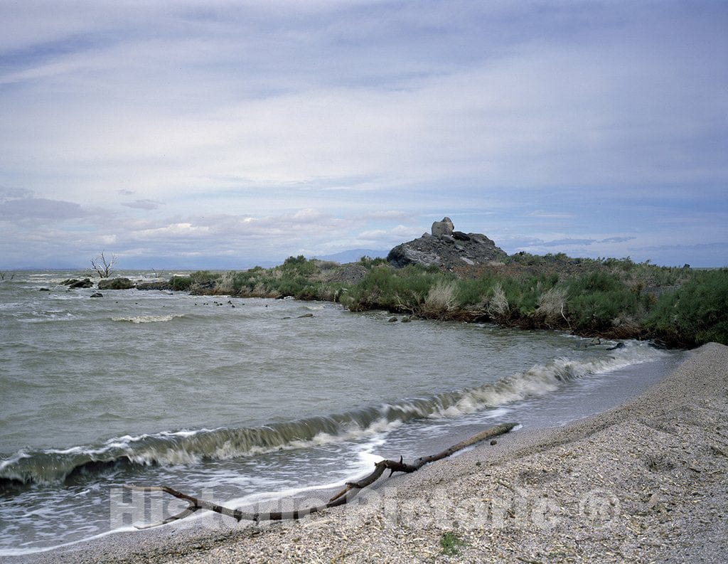 California Photo - Driftwood Shore of The Salton Sea in California, Whose Surface is 227 feet Below sea Level