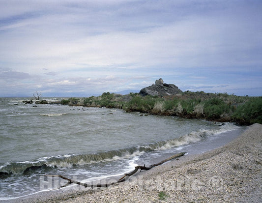 California Photo - Driftwood Shore of The Salton Sea in California, Whose Surface is 227 feet Below sea Level