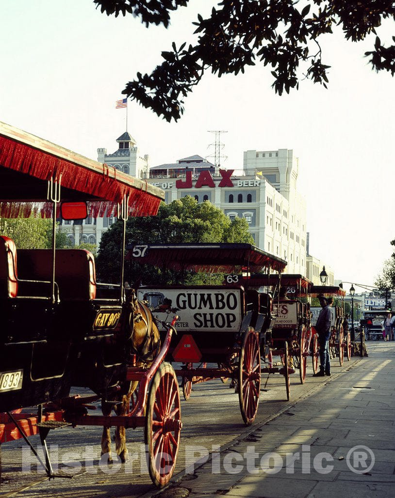 New Orleans, LA Photo - Horses and buggies waiting for fares in front of Jackson Square, New Orleans, Louisiana