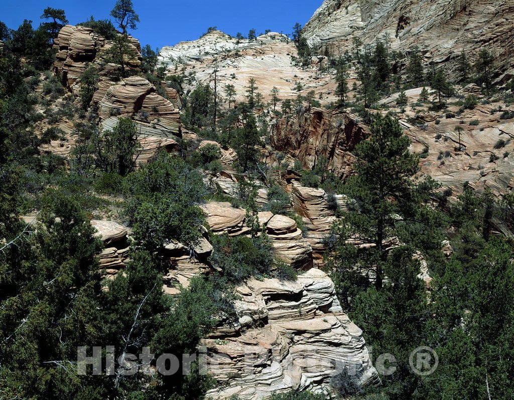 Zion National Park, UT Photo - Strata in Zion National Park, Utah