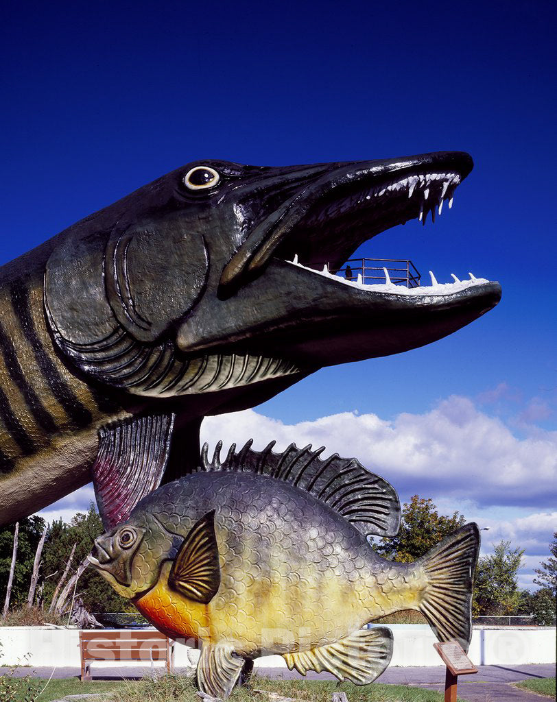 Hayward, WI Photo - A 143-foot-long, walk-through, fiberglass-and-steel muskie, and a less-imposing fiberglass sunfish, at the National Fresh Water Fishing Hall of Fame