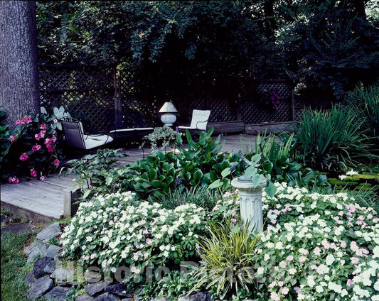 Photo- Patio Garden 1 - Fine Art Photo Reproduction