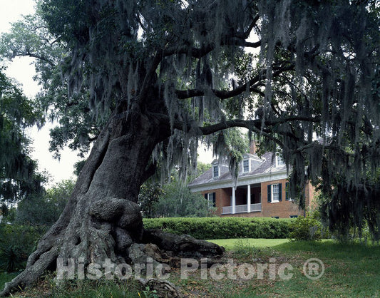 New Iberia, LA Photo - Shadows-on-The-Teche, a Historic House and Garden in New Iberia, Louisiana