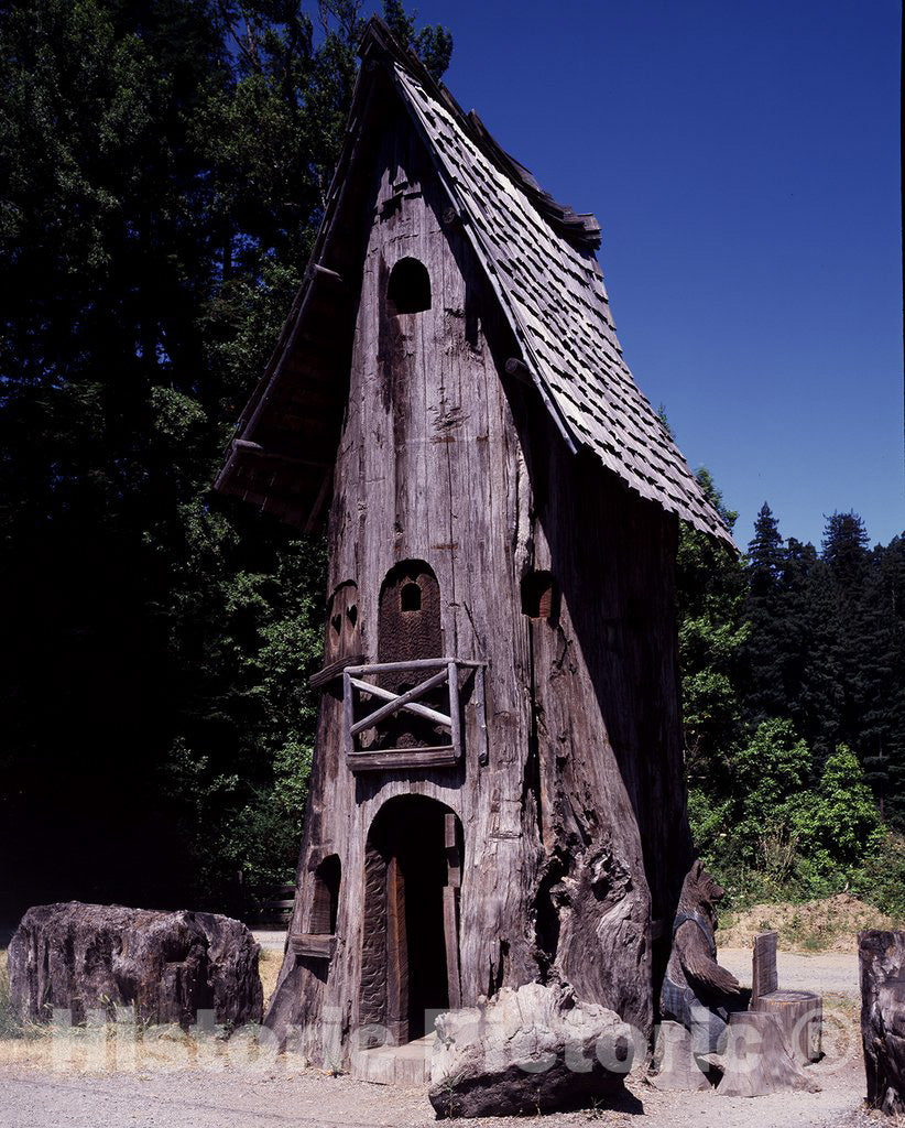 California Photo - Narrow fun house in California's Giant Redwood country