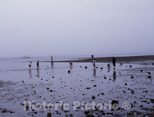 Camden, ME Photo - Looking for clams on Lincolnville Beach, Camden, Maine