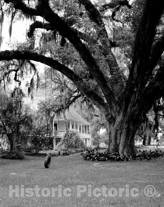 New Roads, LA Photo - Parlange Plantation Manor House, New Roads, Louisiana