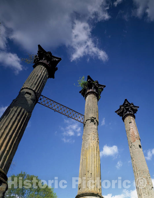 Photo- Windsor Mansion Ruins, Port Gibson, Mississippi 1 Fine Art Photo Reproduction