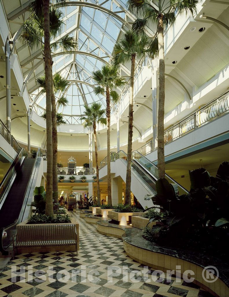 Photo - Shopping mall Atrium and escalators- Fine Art Photo Reporduction