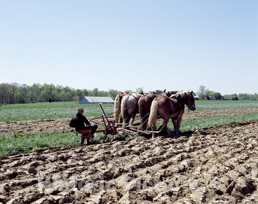 Lancaster County, PA Photo - in Amish Country, Lancaster County, Pennsylvania