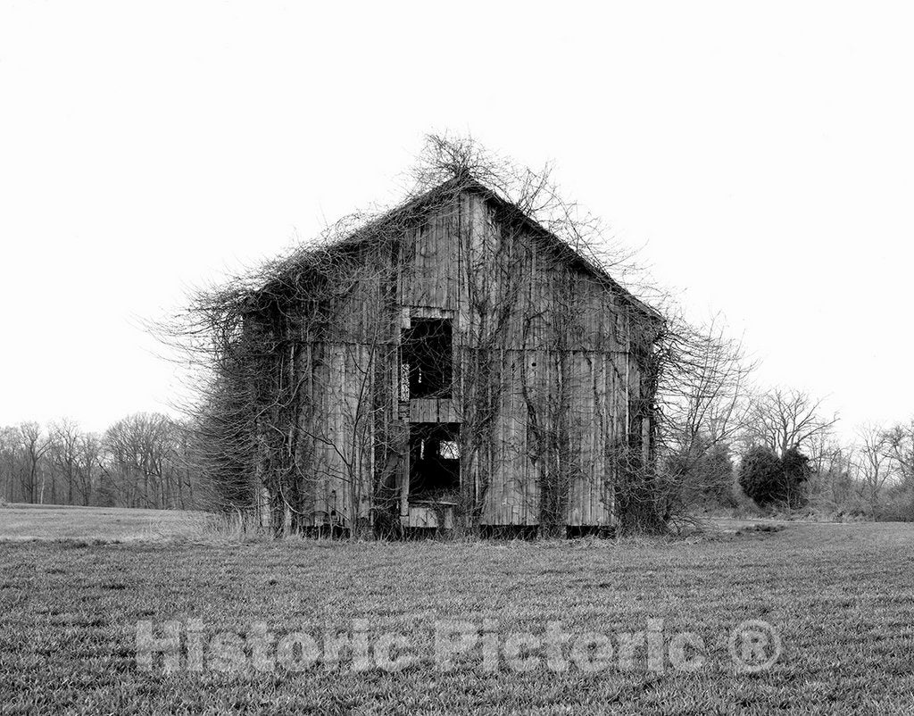 Photo - Abandoned barn overwhelmed by kudzu- Fine Art Photo Reporduction