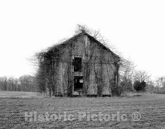 Photo - Abandoned barn overwhelmed by kudzu- Fine Art Photo Reporduction