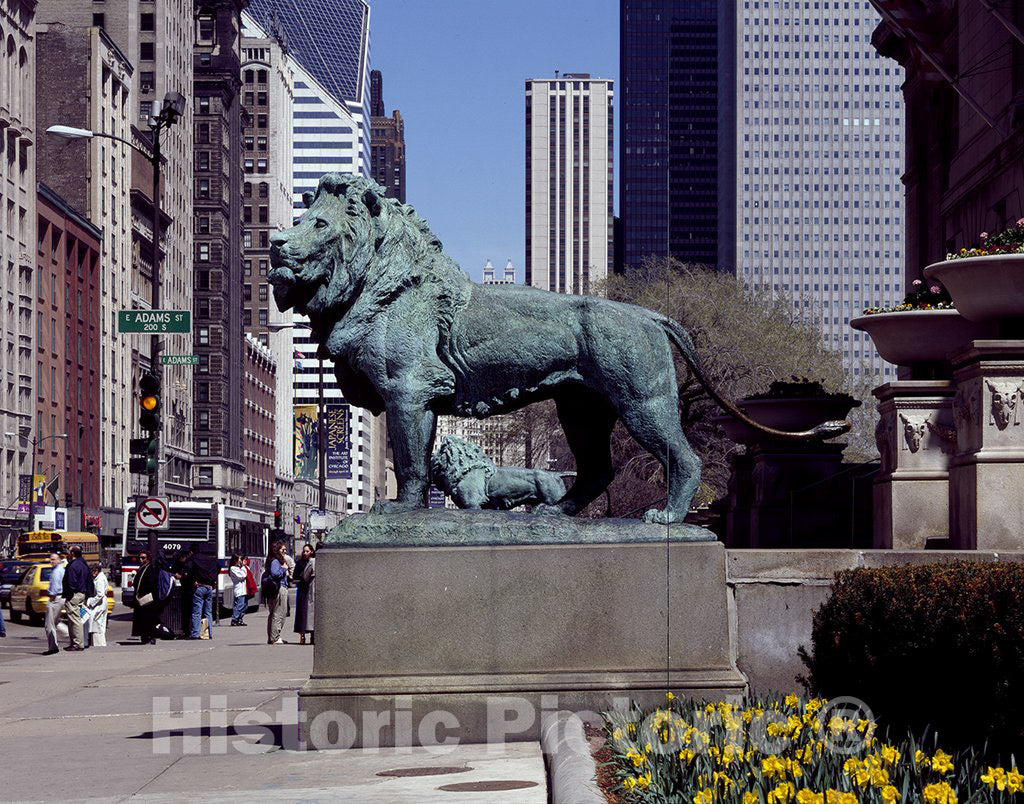 Chicago, IL Photo - Edward Kemeys' Guardian Lions Stand Before The Art Institute of Chicago, Illinois