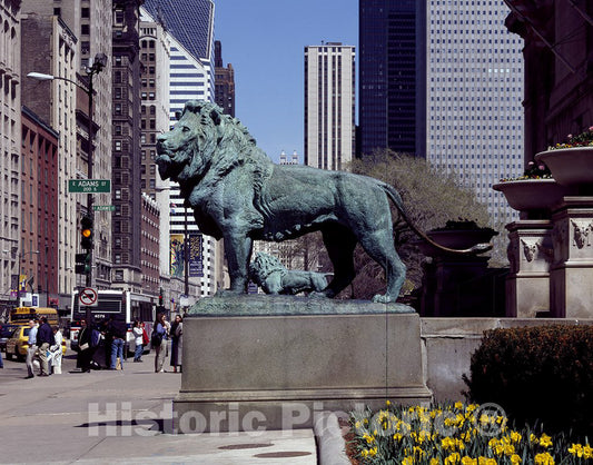 Chicago, IL Photo - Edward Kemeys' Guardian Lions Stand Before The Art Institute of Chicago, Illinois